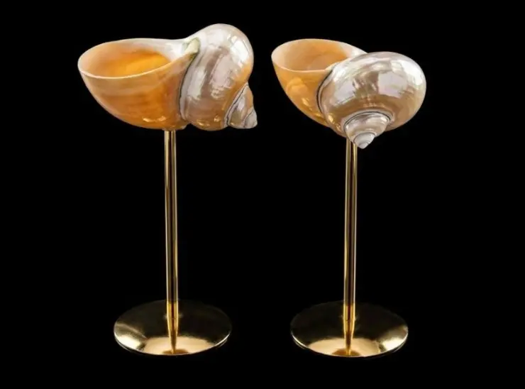Conch Glass