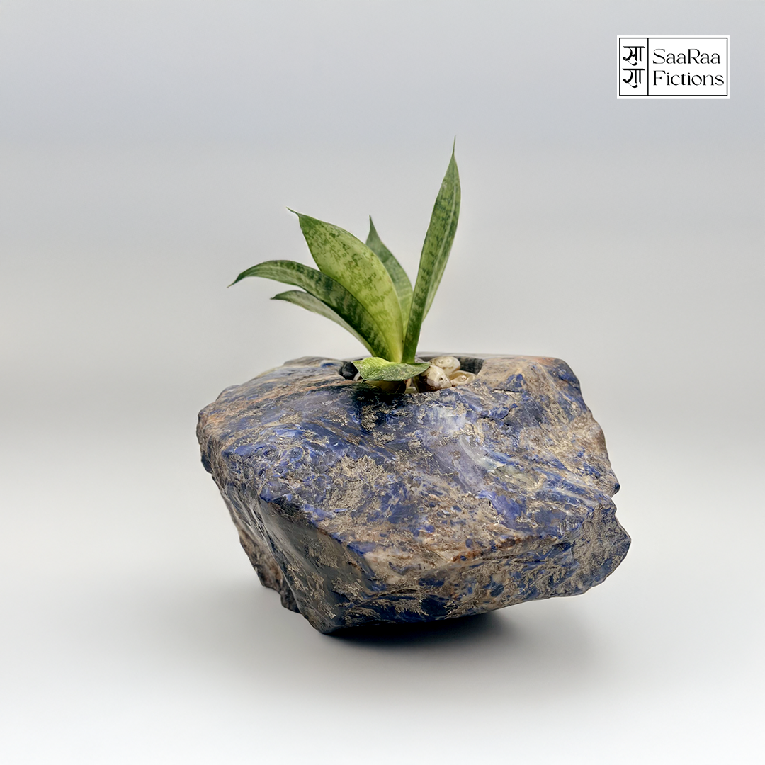 Lapis Lazuli Planter