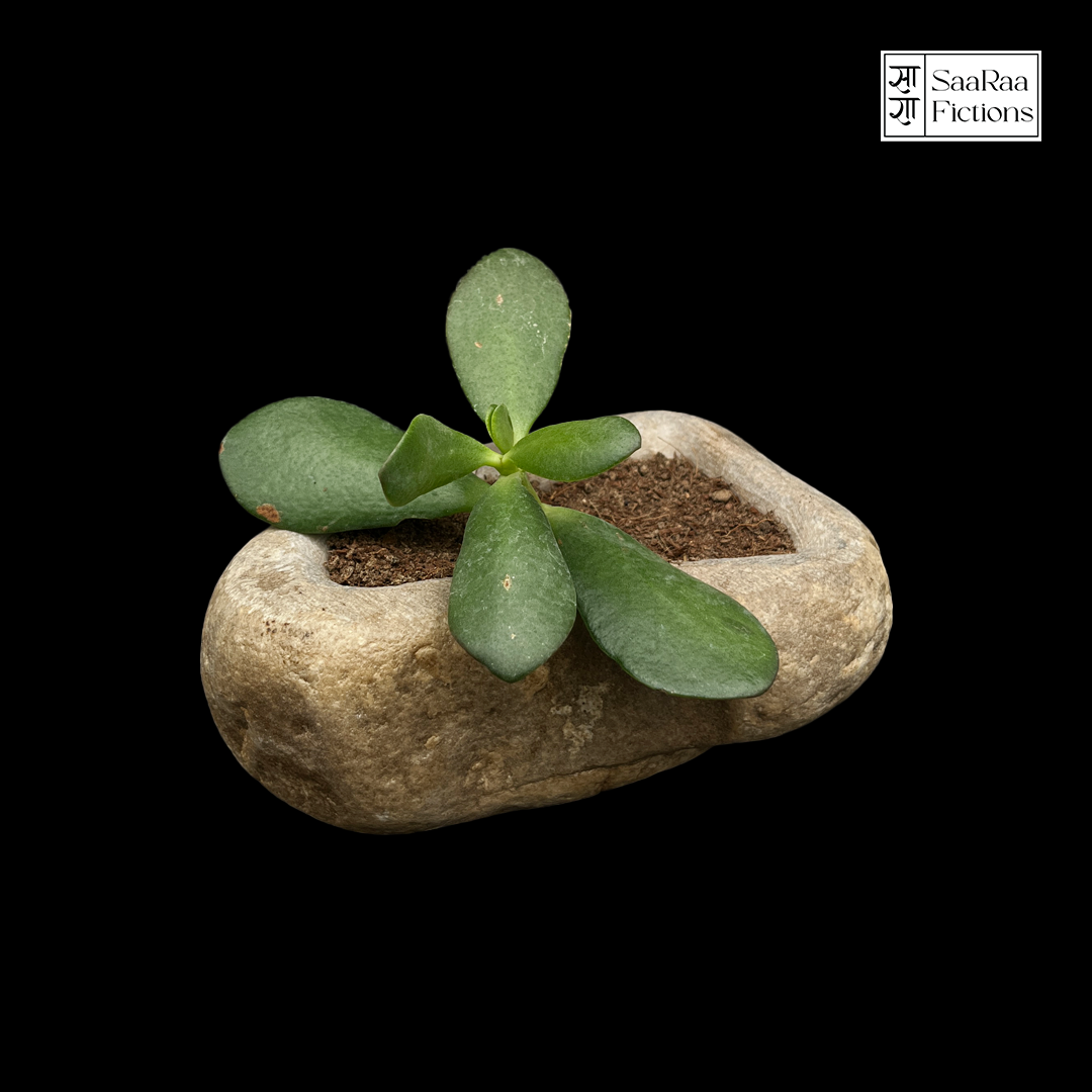 River Stone Planter XL
