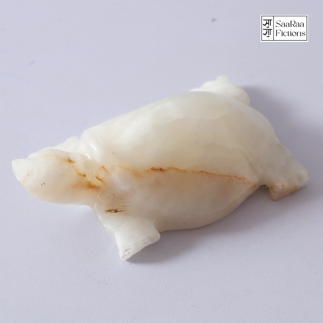 ONYX Turtle (Mini)